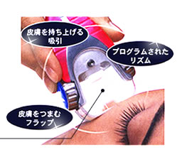 �P.�畆�������グ��@2.�v���O�������ꂽ���Y���@3.�畆���܂ރt���b�v